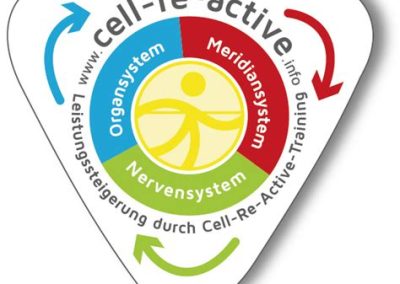 Cell-Re-Active-Training